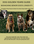 The Golden Years Guide: Biohacking Your Senior Dog's Longevity - Complete 21-Day Protocol