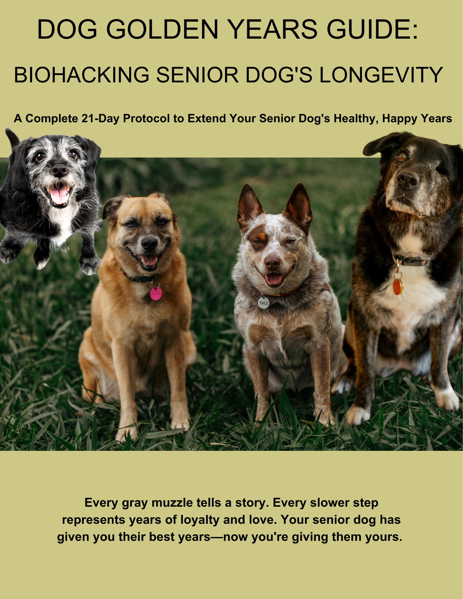 The Golden Years Guide: Biohacking Your Senior Dog's Longevity - Complete 21-Day Protocol