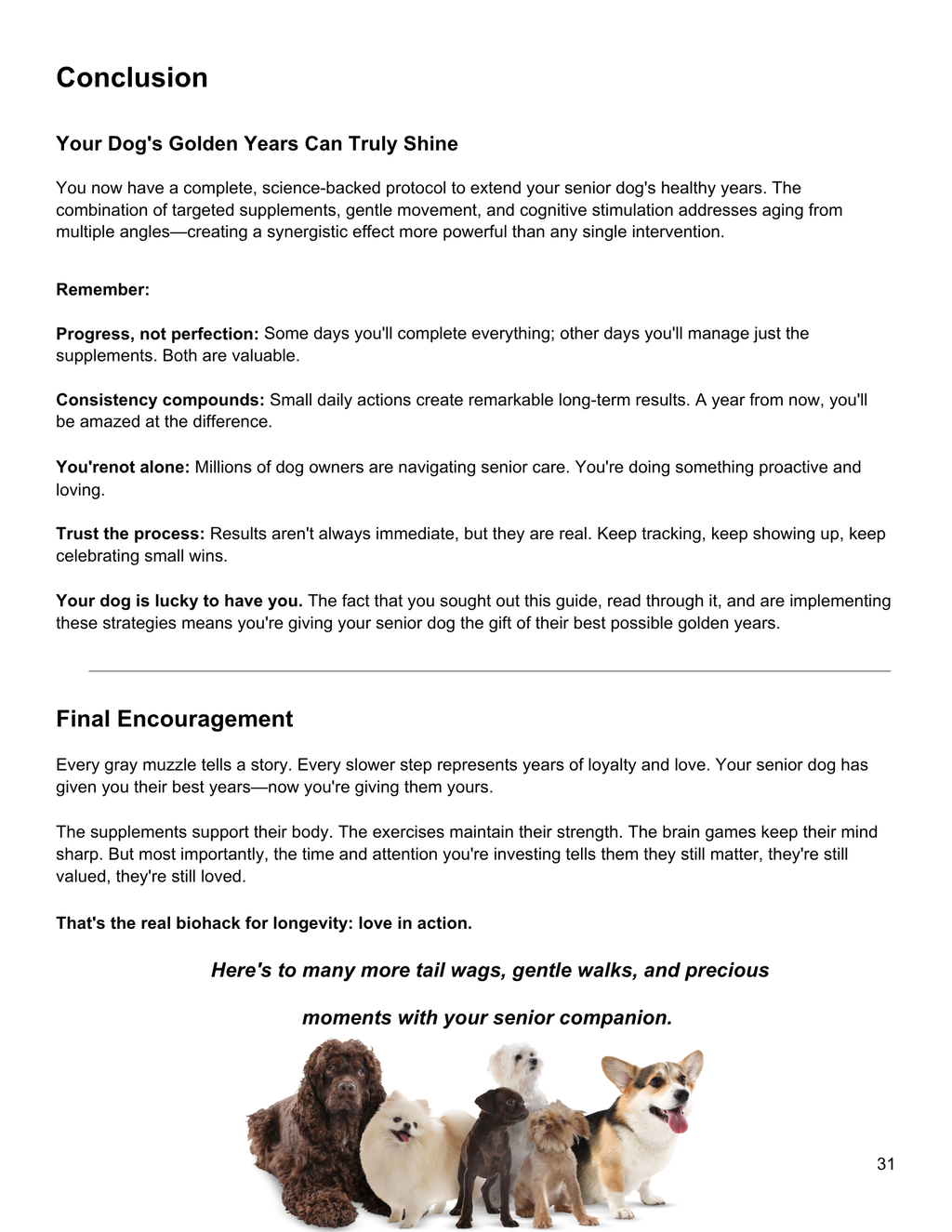 The Golden Years Guide: Biohacking Your Senior Dog's Longevity - Complete 21-Day Protocol