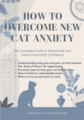 How To Overcome New Cat Anxiety